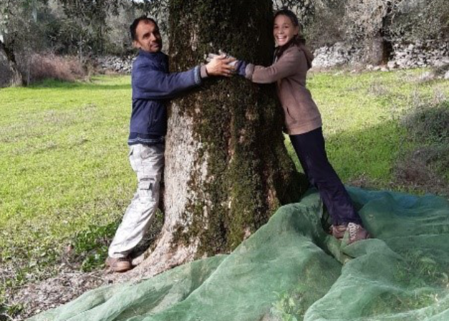 olive_tree_hug